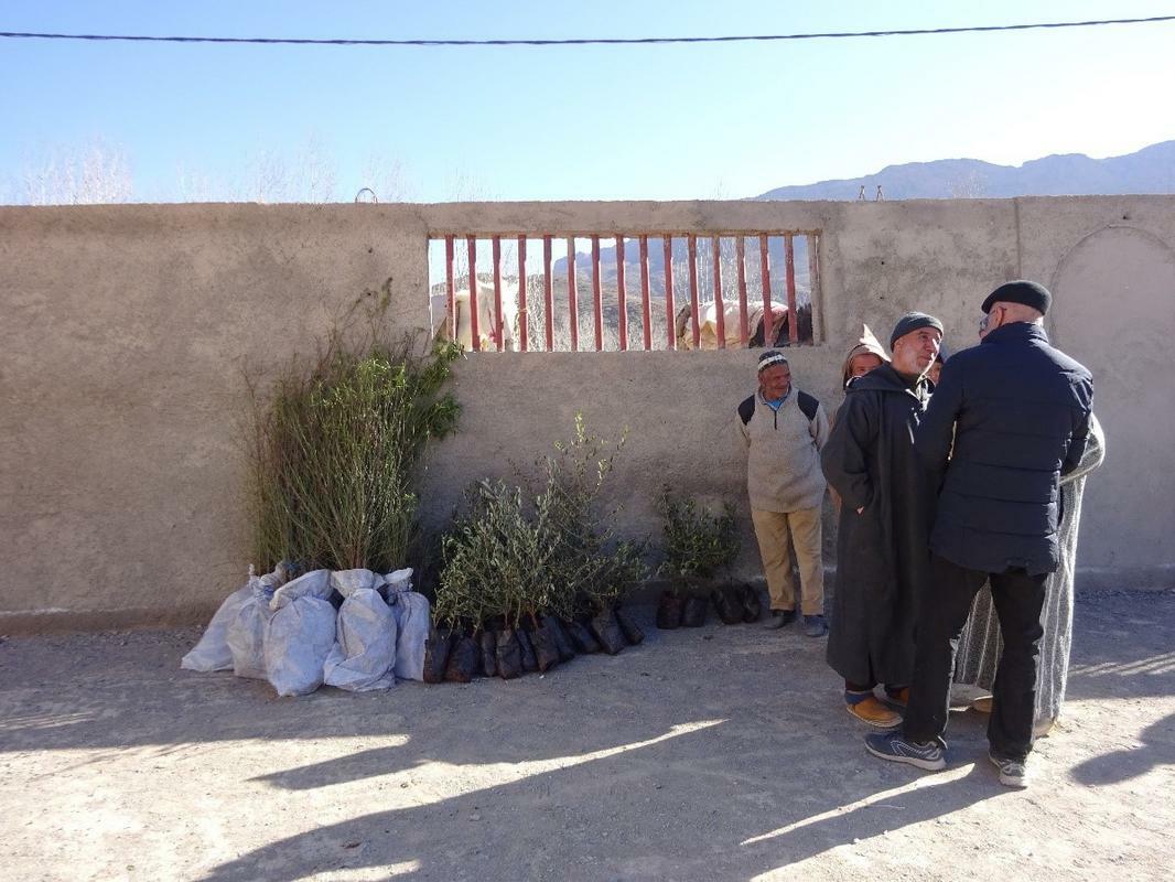 the journey of trees 7 100 fruit trees from fés to the midelt region