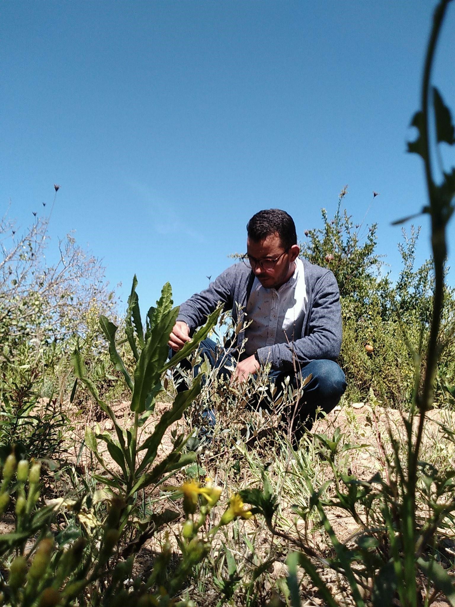 Monitoring Trees In Guercif With Local Cooperatives High Atlas Foundation