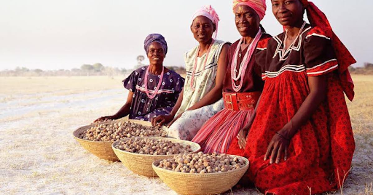 Atlas Rudal Eudafano Women’s Cooperative: BioTrade in Rural Namibian Communities ...