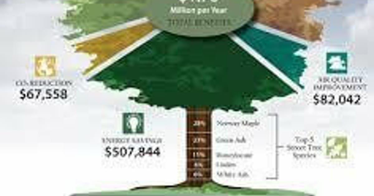 Ias Tree The I-Tree International Academy Learning Journey — High Atlas Foundation