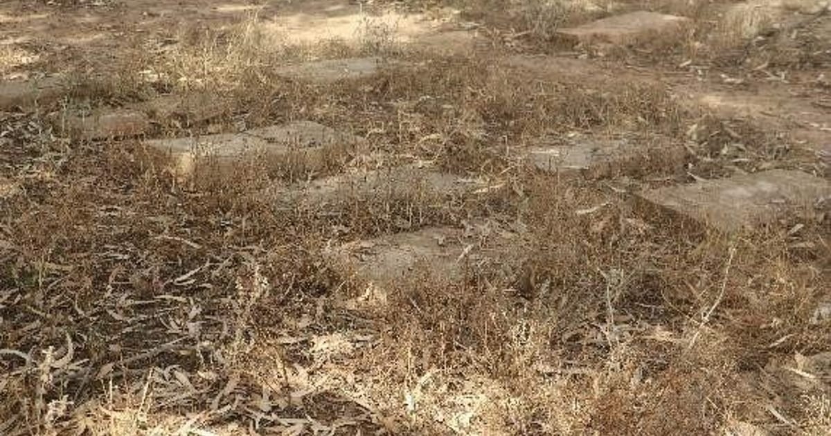 Cemetery Raking Cemeteries Waiting to Be Visited and Remembered — High Atlas Foundation