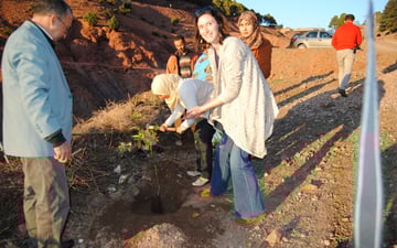 30998120266 94124eb01e o