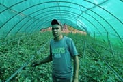 Ahmed Baaki