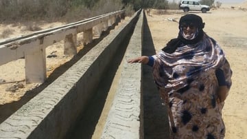 42188794041 787696bd3d o