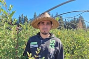 Hicham Jihani