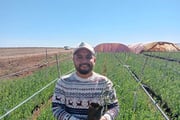 Mohamed El Khabaz