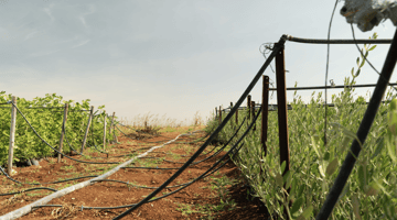 Bildschirmfoto 2024 10 15 um 15 12 35