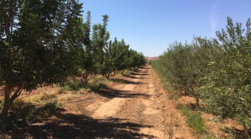 Photo 2024 10 01 14 46 06