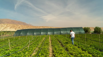 02 HAF technecian YASSINE visiting guercif nursery October 2024 1