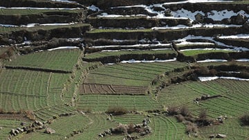 2286944792 a2643d96b0 o