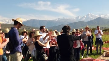 40133579424 5744511202 o