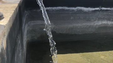 43519552630 25e04faa19 o