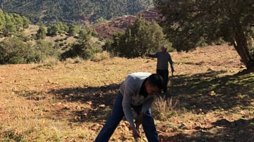 46884083052 232e723547 o