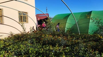 52665982670 9bcce65c45 o