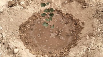 53465554311 43682731cd o