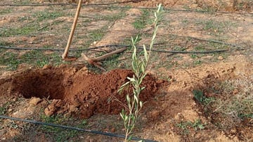 53465691228 42d209cfbf o