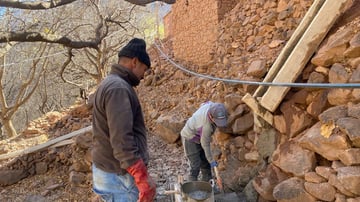 53518681341 0f50da100e o