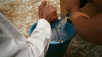 7500839810 c496bded20 c