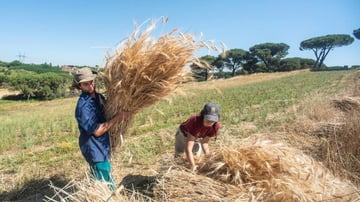 A518 B371 3263 4336 9 AA2 02 F7 EDF846 C1