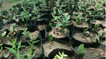 Capture decran 2021 07 26 103320