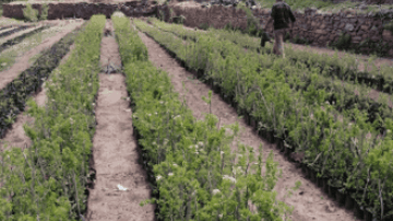 Capture decran 2021 08 02 151652