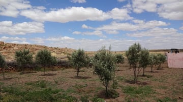 DSC00440
