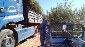 IMG20220110143634