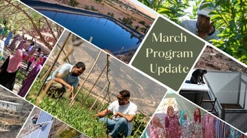 Newsletter 1
