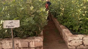 PHOTO 2024 10 07 17 48 11