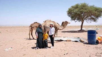 PHOTO 2024 11 21 13 29 39