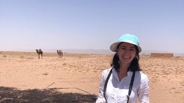 PHOTO 2024 11 21 13 39 13