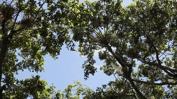 Screenshot 2025 01 24 093526