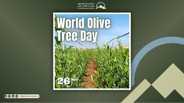 UN DAYS 1294 x 730 px