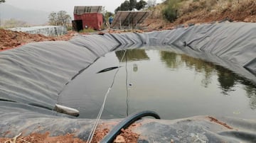 Whats App Image 2021 06 09 at 00 24 02