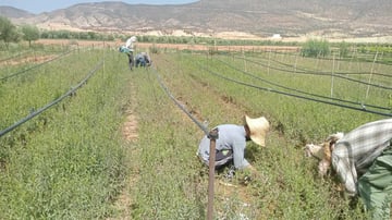 Whats App Image 2024 02 08 at 5 23 09 PM