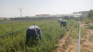 Whats App Image 2024 02 08 at 5 23 10 PM