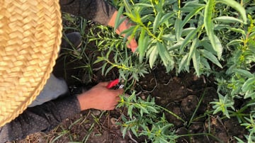 Whats App Image 2024 02 08 at 5 23 12 PM 1