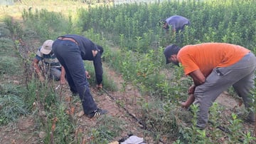 Whats App Image 2024 02 08 at 5 23 13 PM