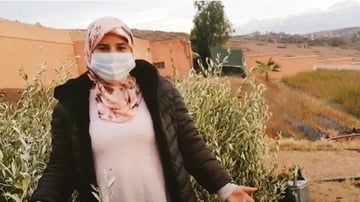Amina