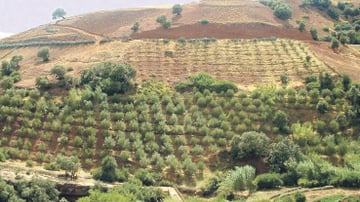Al haouz