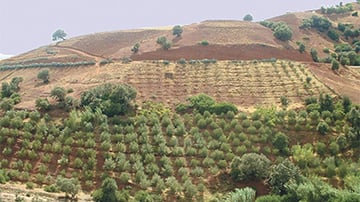 Haut atlas