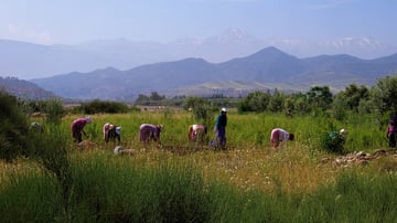 34007529901 e6e62b68c7 z