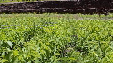 26941649183 5b813490fd 3k