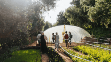 Capture decran 2021 07 28 112600