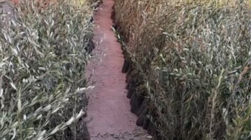 Blog 2