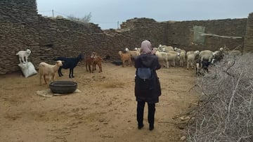 Ahl Rhoufrane farmer with livestock