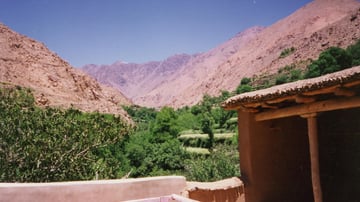 Terrace0001 2