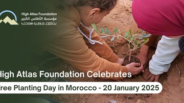 Tree planting01