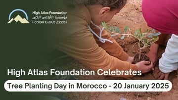 Tree planting01