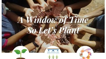 Tree planting 1